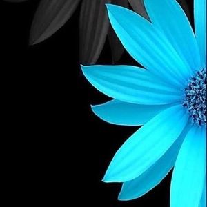 Meet your Posher, Deb